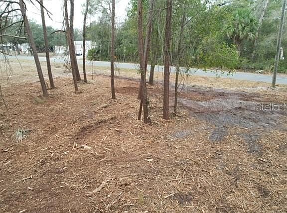 5th image of Palm St Lot 9