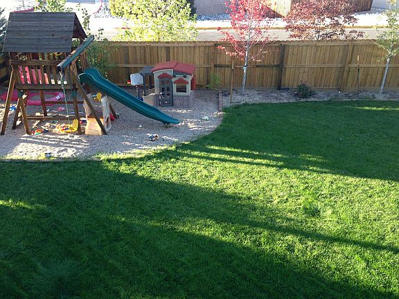 Backyard1