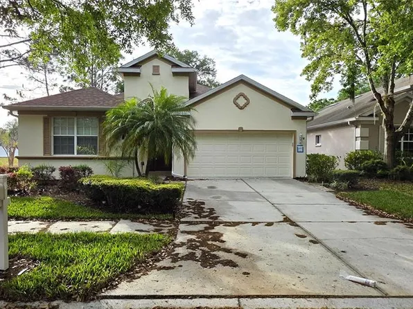 10906 Tree Cactus Loop, Land O Lakes, FL 34638