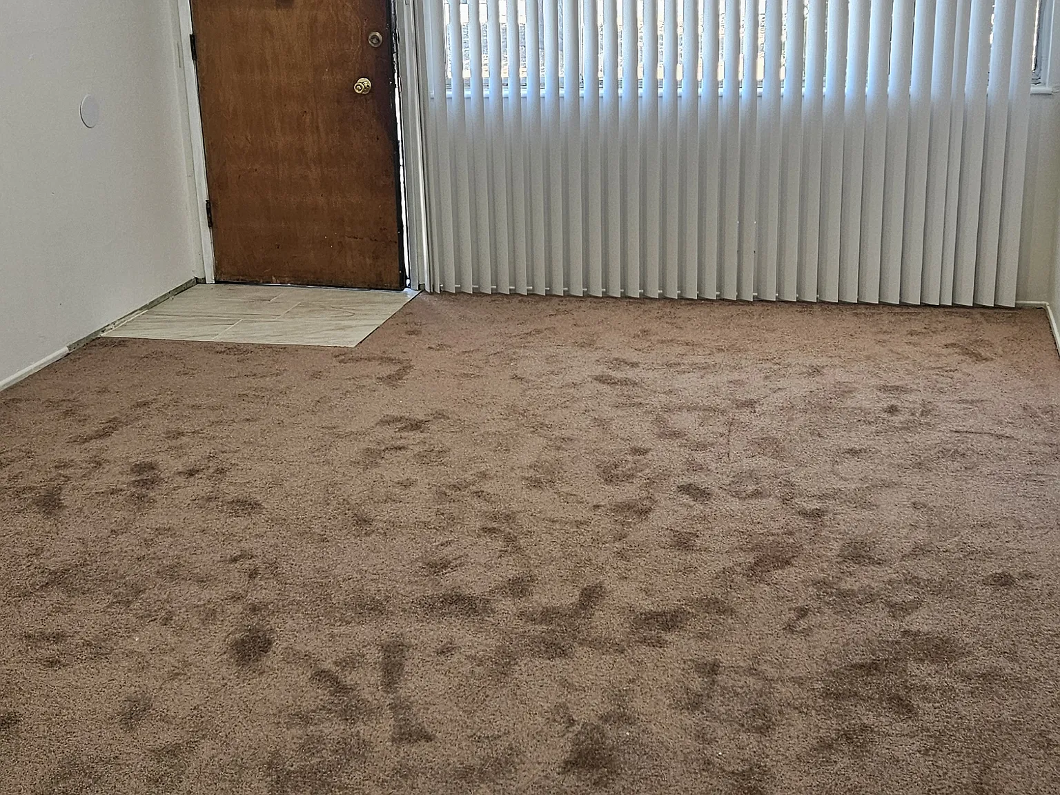 2 bed, 800 sqft, $2,100 — Photo 4