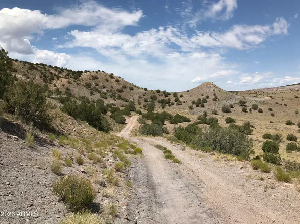 0 Lot N5338 -- #-, Concho, AZ 85924