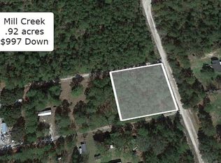 15680 NE 142nd Ct, Fort McCoy, FL 32134