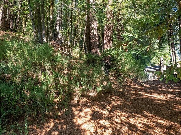 4th image of 14131 Old Cazadero Road