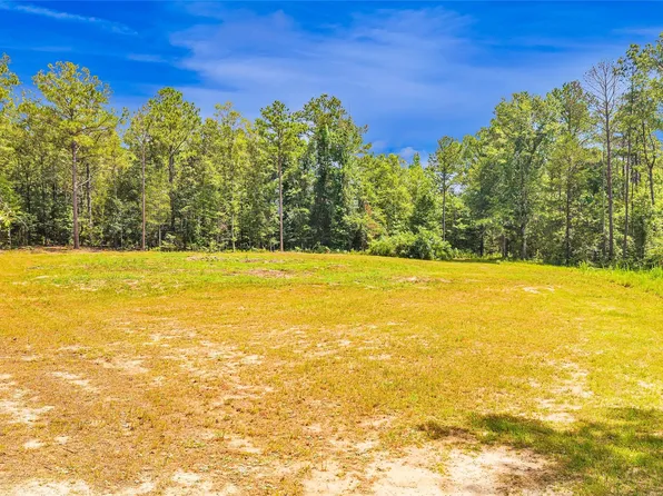0 Mockingbird Ln, Eclectic, AL 36024