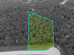 21-29-11 Diamond Ln, Huntsville, TX 77340