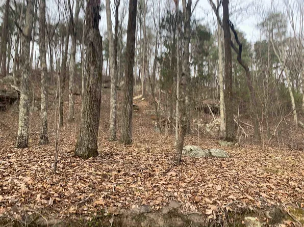 0 New Cut Rd, Tuscumbia, AL 35674