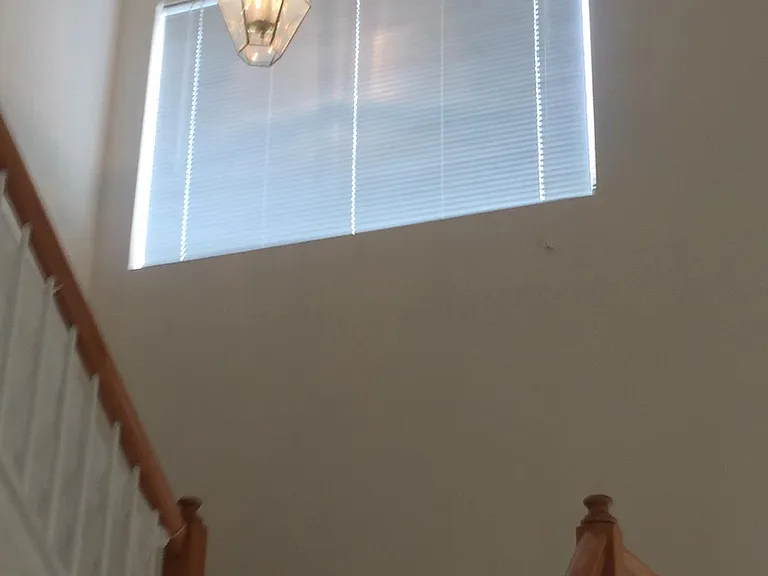 923 Grays Peak Dr — Photo 28
