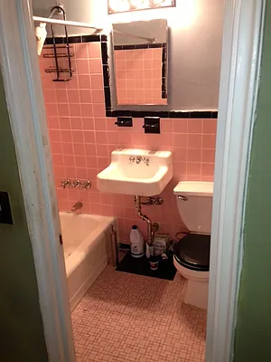 Rented by Eric Goodman Realty Corp | media 26