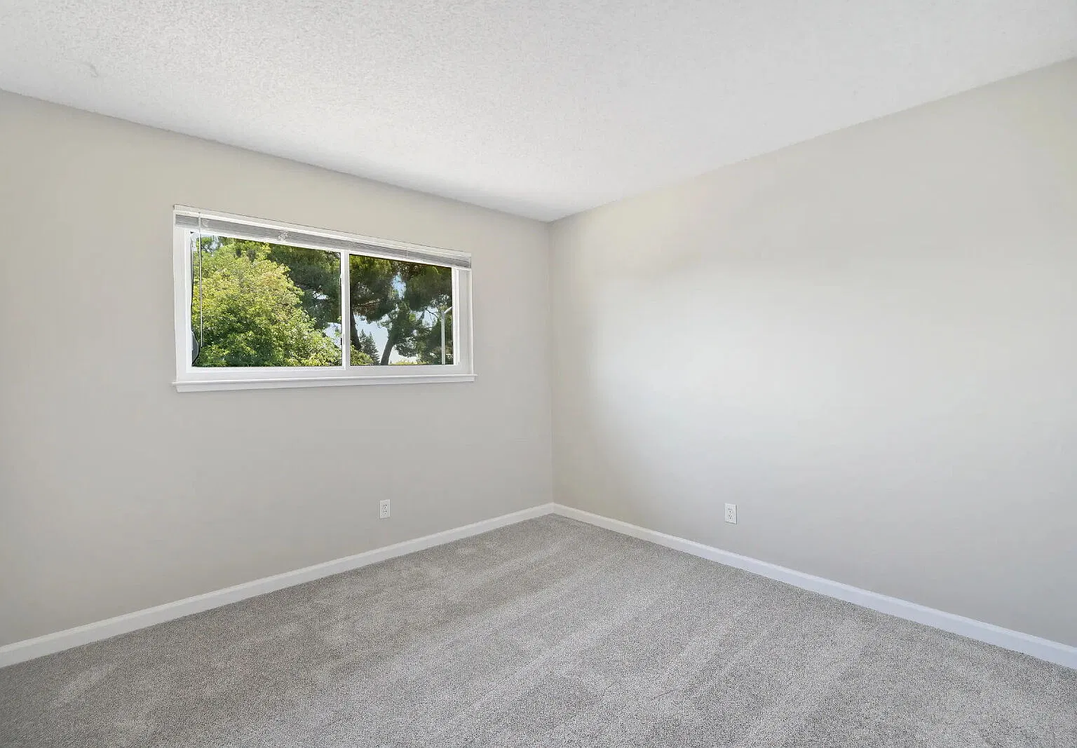 4 bed, 2.5 bath, 1744 sqft, $2,900 — Photo 3
