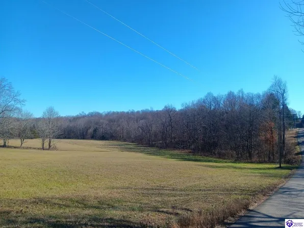 365 Shores Ln, Falls Of Rough, KY 40119