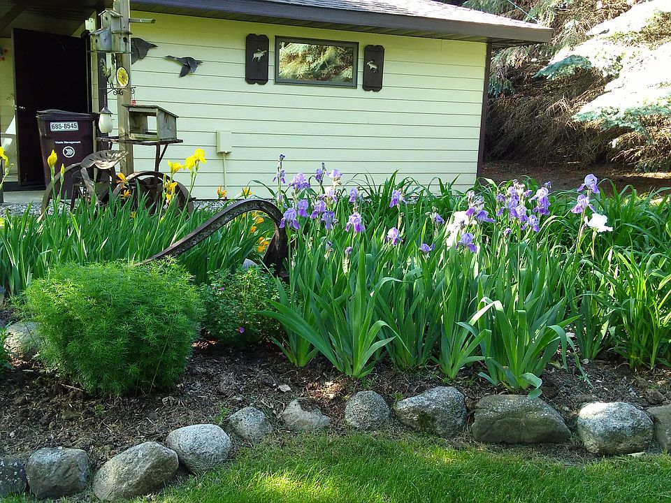 Backyard Flower Bed