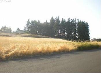 5th image of 1403 NE 123rd Ave