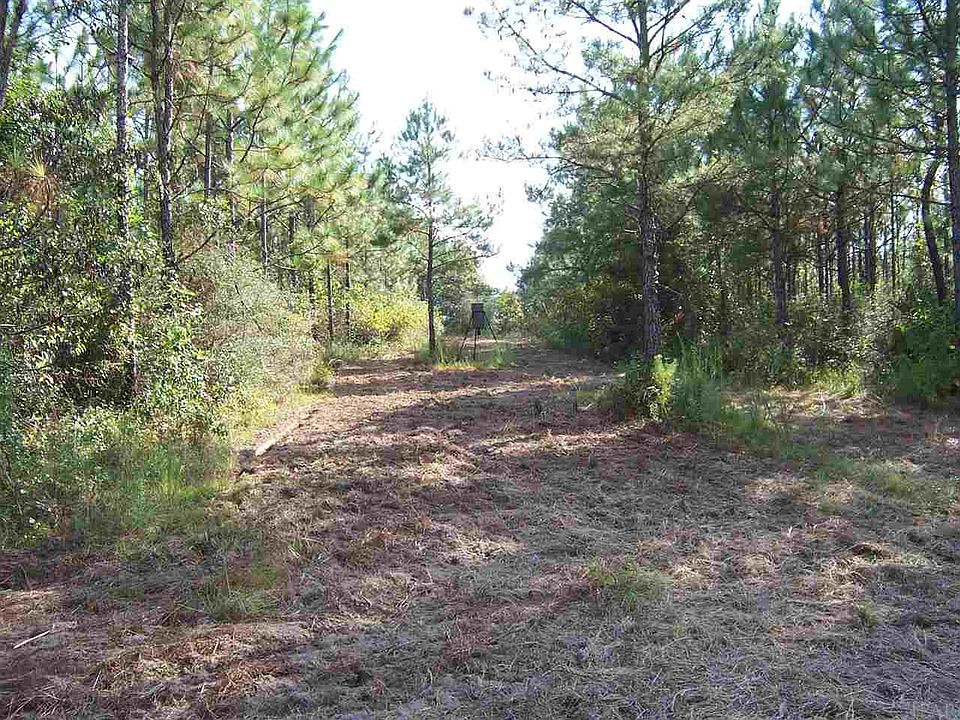 2nd image of Pine Blossom Rd