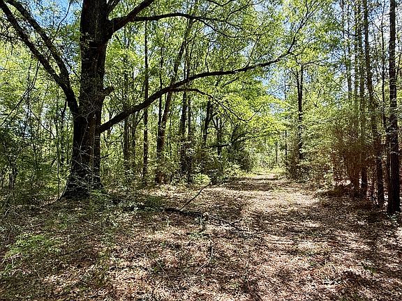 2nd image of Millville Rd