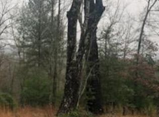 Sexton Loop Copperhead Rd, Oakdale, TN 37829