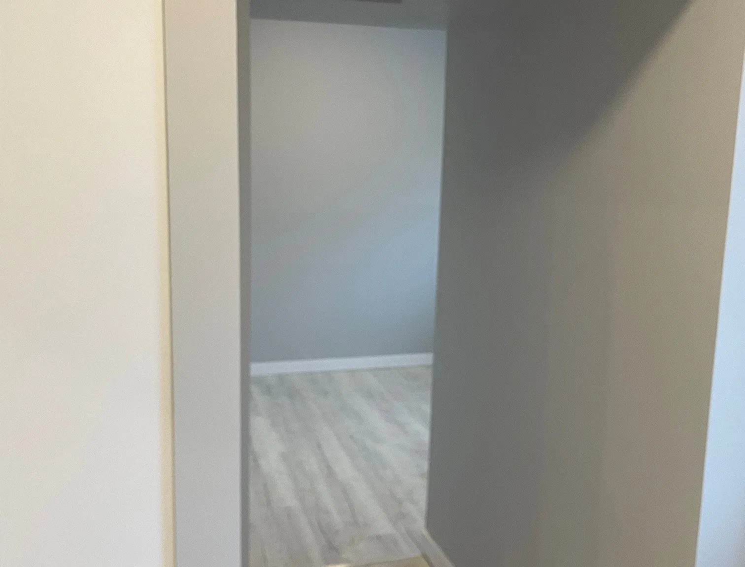 239 Percy Street — Photo 4
