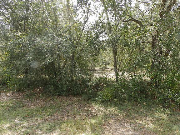 2nd image of 11838 N Monica Dr