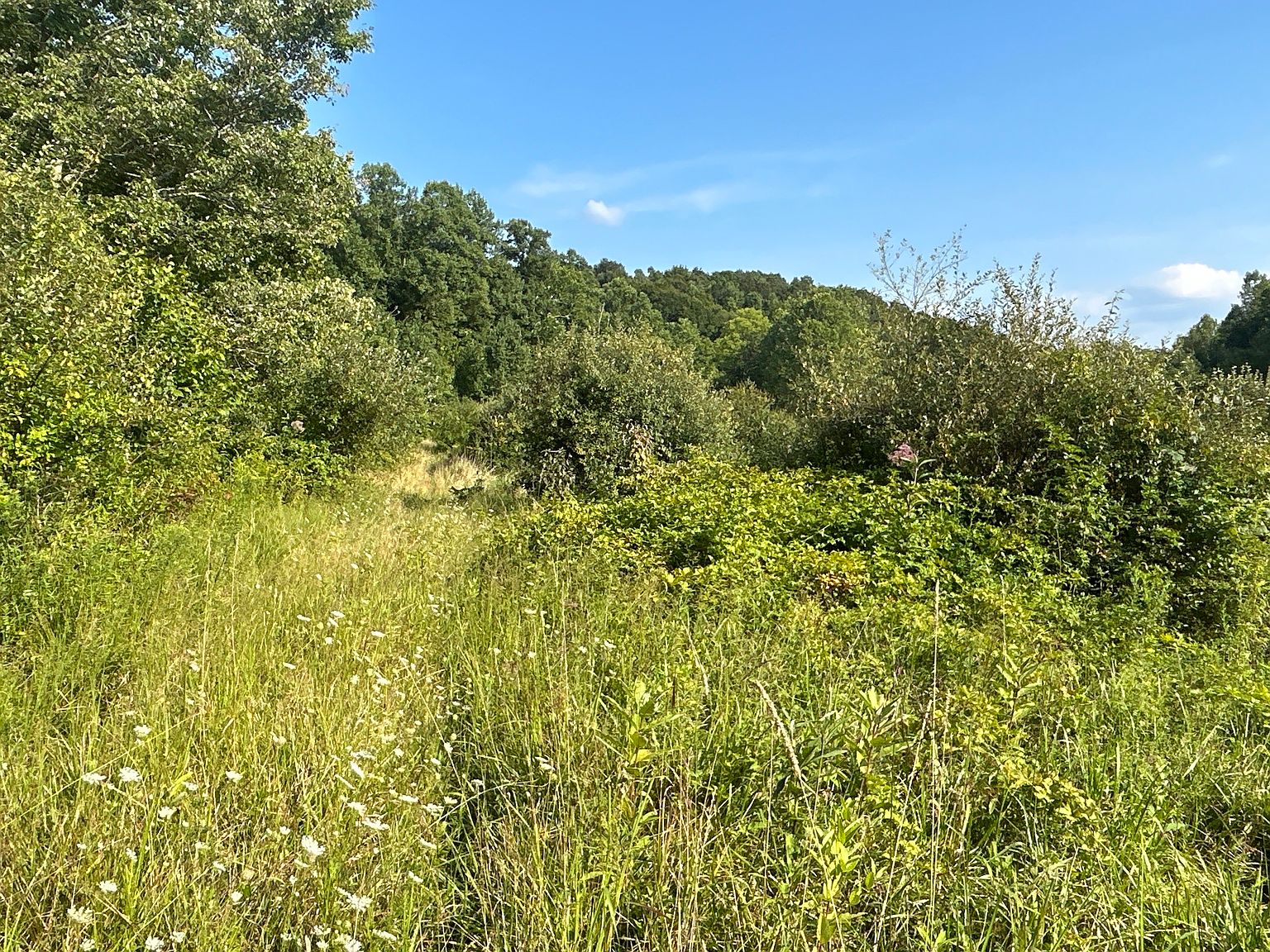 County Road 213, Scottown, OH 45678 Zillow