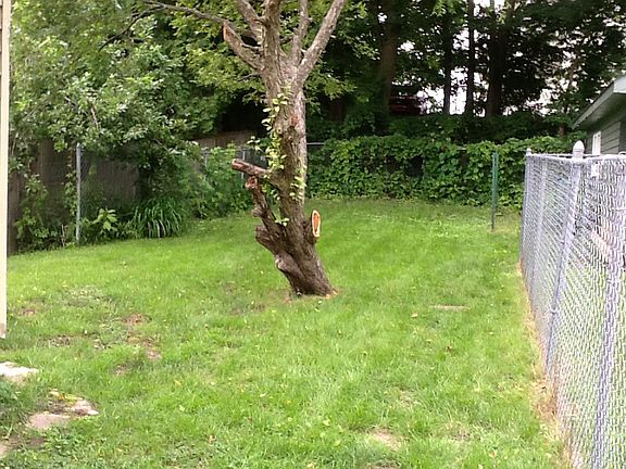Fenced backyard
