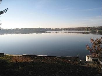 5th image of 7606 Tharp Dr