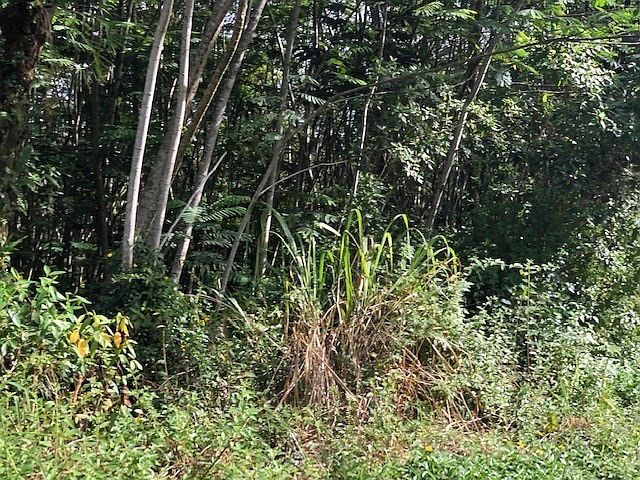 1st image of Donnybrook Ln Lot 179