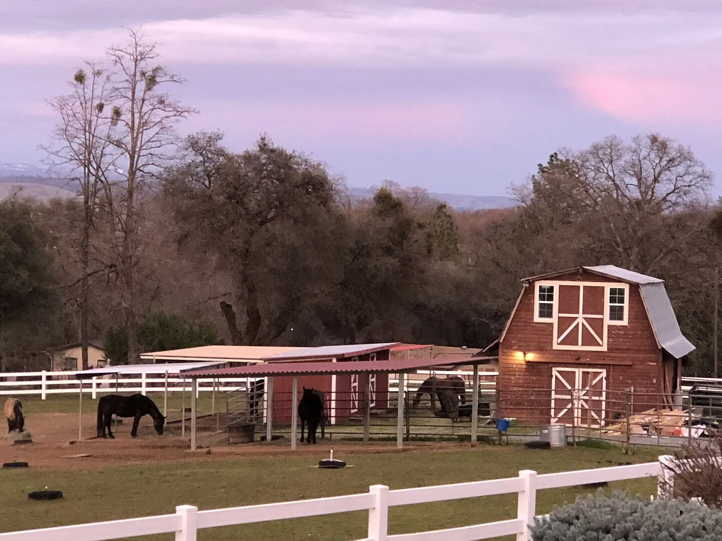 Farm Stay In Private Loft Above The Barn — Photo 2