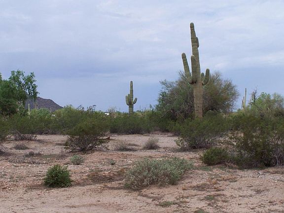 4th image of 34134 N Paseo Grande Dr