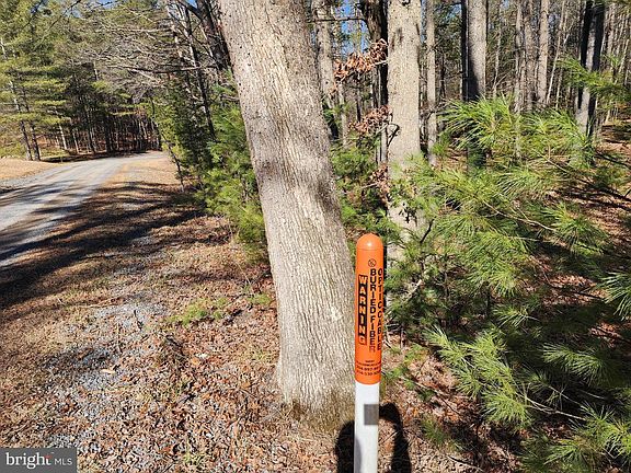 5th image of 228 Oak Dr