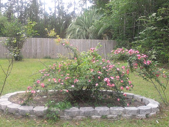 5th image of 11658 Pinehurst Pl W