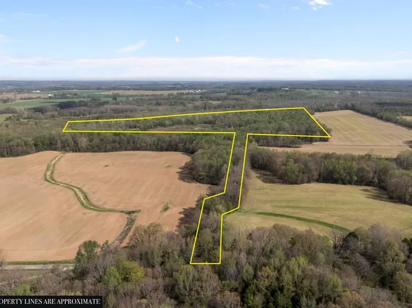 2715 Herrondale East Rd, Henry, TN 38231