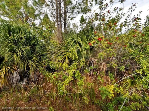 Farmington Ave, North Pt, FL 34288