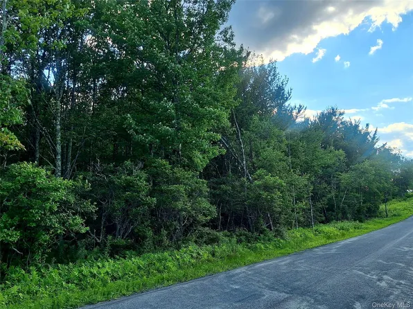 Burnt Ridge Road, Fallsburg, NY 12733