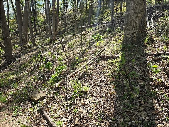4th image of TBD Round Knob Ridge Road