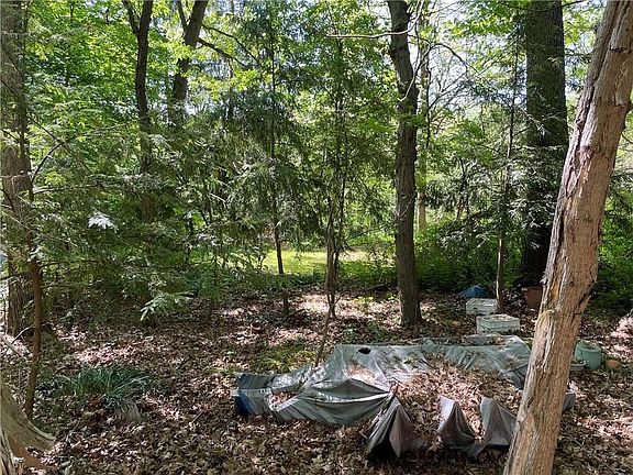 4th image of 3333 Brookdale Dr