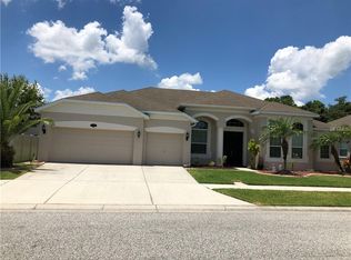 20306 Natures Corner Dr, Tampa, FL 33647