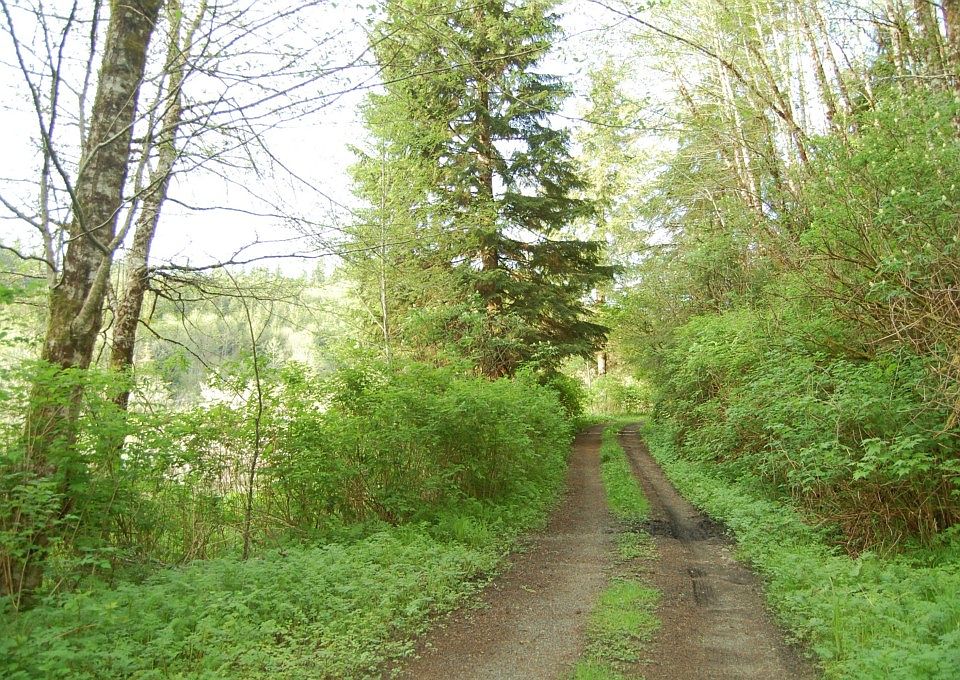 623 Altoona Pillar Rock Rd, Rosburg, WA 98643 Zillow