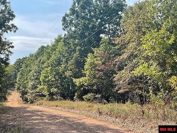 2nd image of 001-04716 Blueberry Ln #0