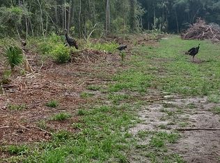 209 Palm Way, Georgetown, FL 32139