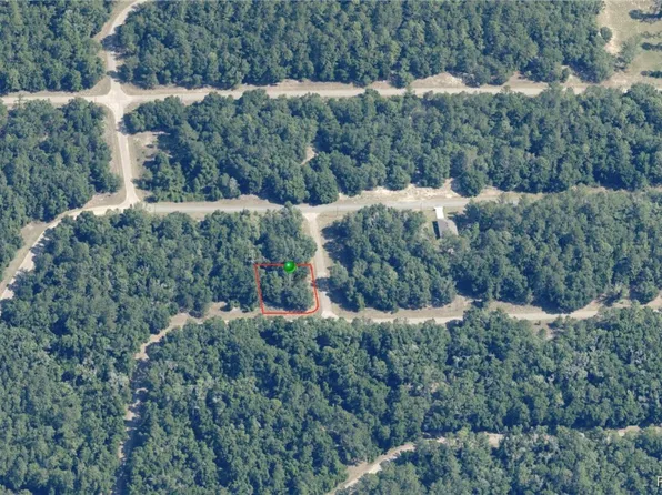 1577 E Ivydale Dr, Citrus Springs, FL 34434
