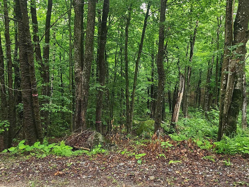 1st image of 142 Fox Hill Road #111-035