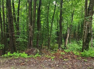 Hidden Lake Association, Stoddard, NH 03456