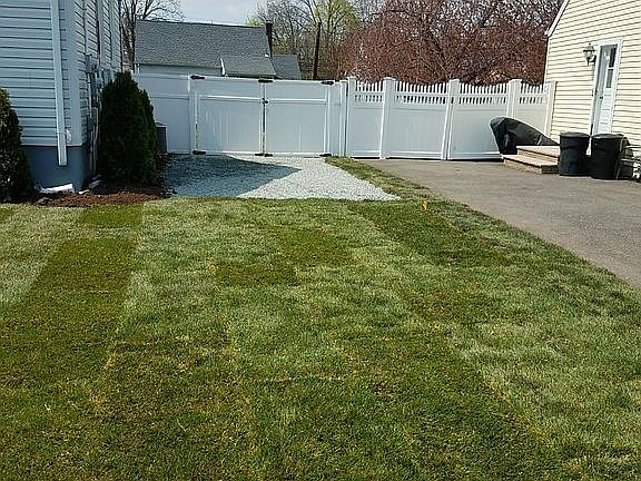 Front Yard