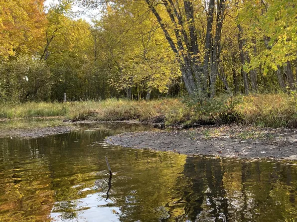 Cramer Rd, Alpena, MI 49707