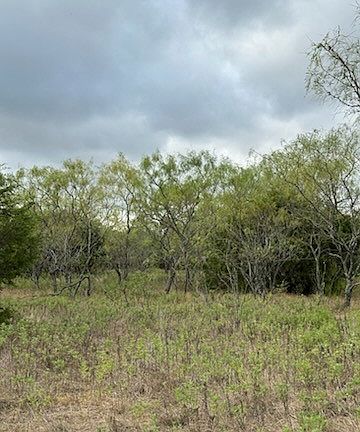 2nd image of 1483 County Road 2435