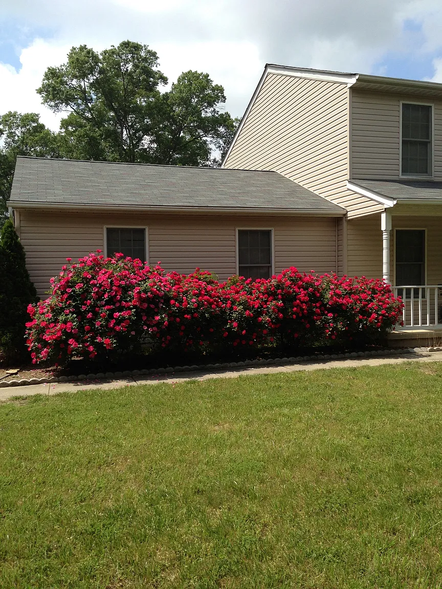 6623 Lynx Ct photo 1