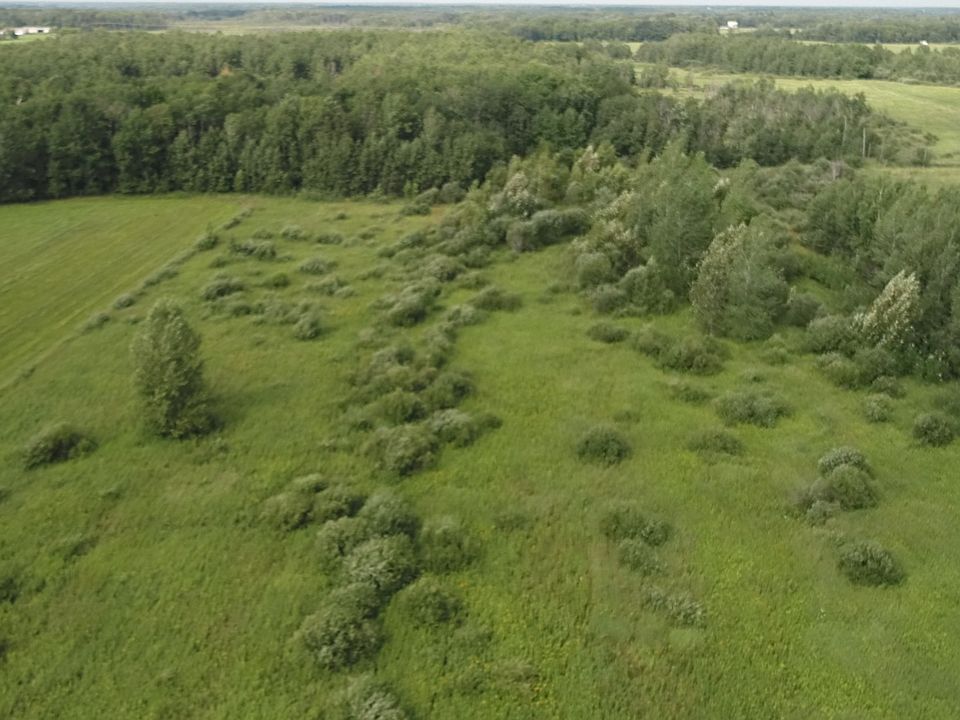 2nd image of 17 100th Ave