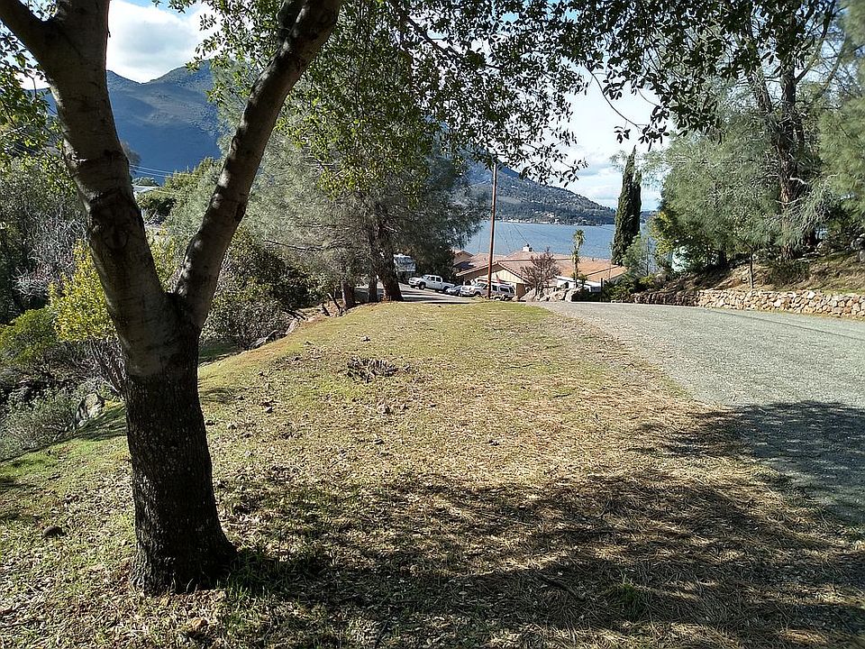 The shady Oak with view