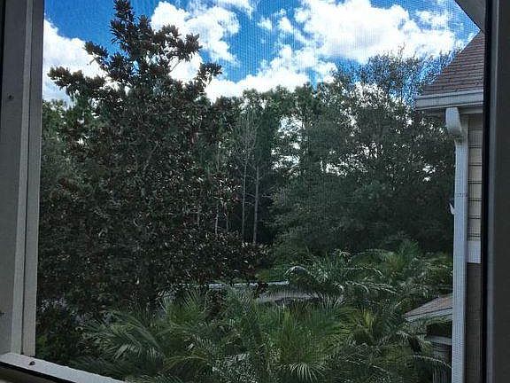 Trees everywhere