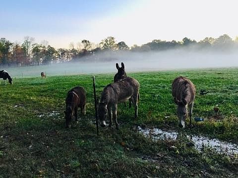 36th image of this home