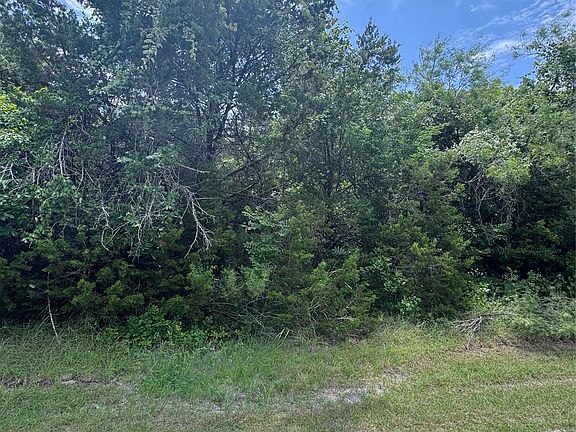 2nd image of 12208 Rolling Oaks Dr
